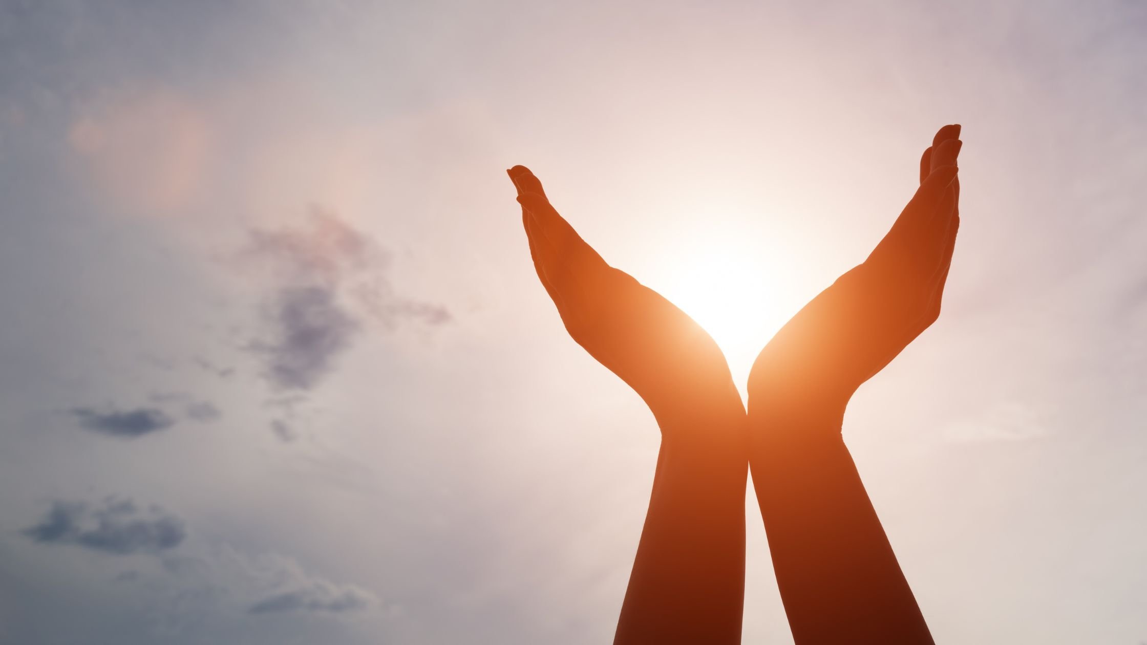 Nurturing a culture of wellbeing blog_Banner Image