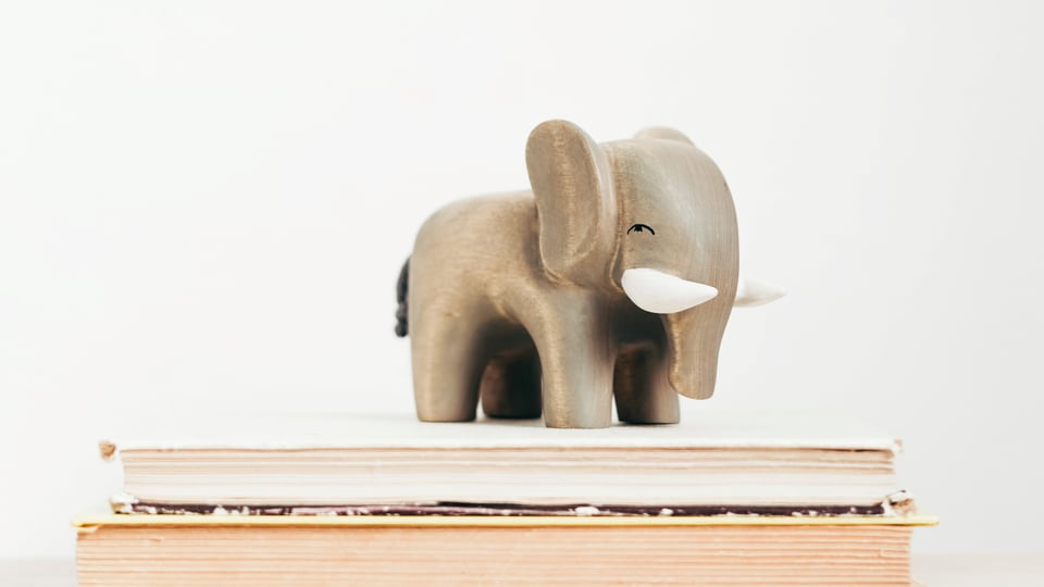 elephant in the room 16x9